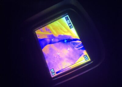 Moisture Detection Brandon Florida