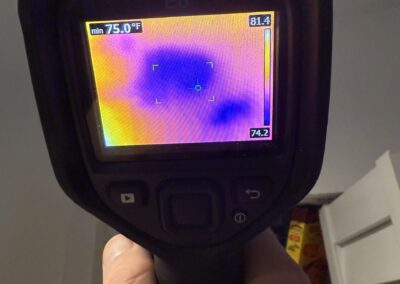 Moisture Detection Brandon Florida