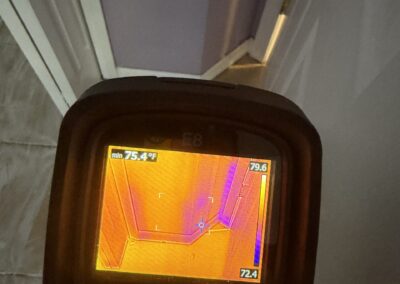 Moisture Detection Brandon Florida