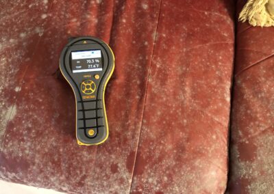 Moisture Detection Brandon Florida