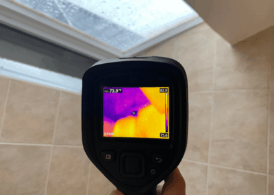 Moisture Detection Brandon Florida