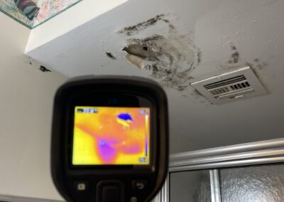 Moisture Detection Brandon Florida