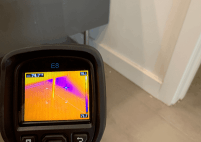 Moisture Detection Brandon Florida