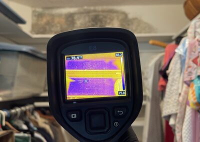 Moisture Detection Brandon Florida