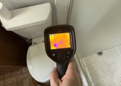 Moisture Detection Brandon Florida