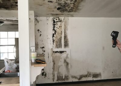 Mold Remediation Brandon Florida