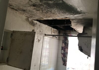 Mold Remediation Brandon Florida