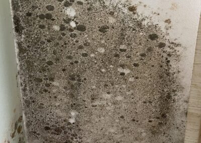 Water Restoration Brandon Florida