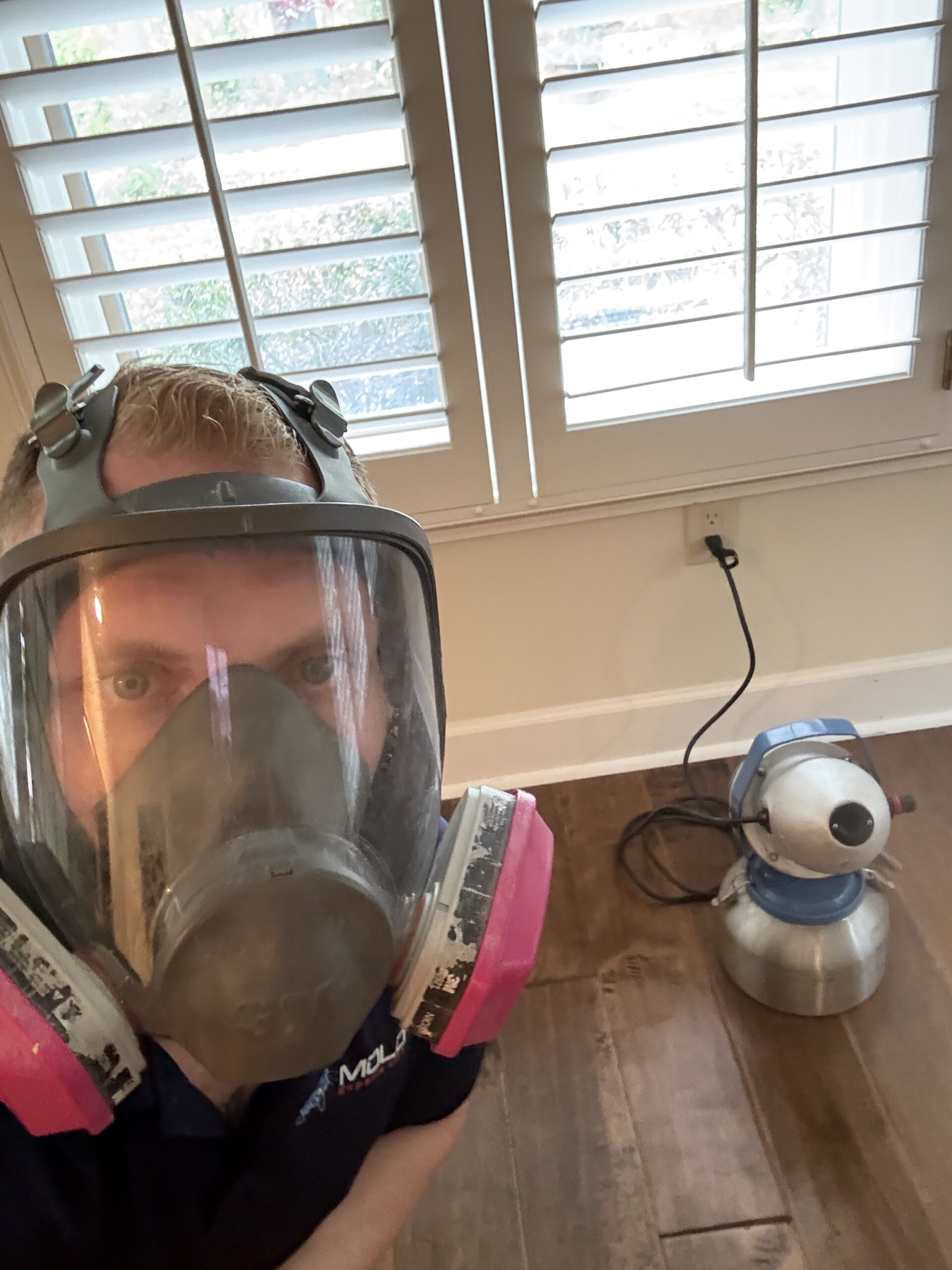 Mold-Remediation-Clearwater-Florida (2) Mold-Remediation-Clearwater-Florida