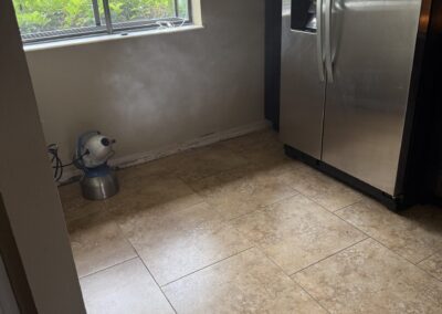 Mold Remediation Brandon Florida