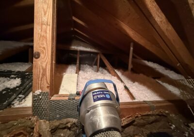 Mold Remediation Brandon Florida