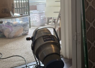 Mold Remediation Brandon Florida