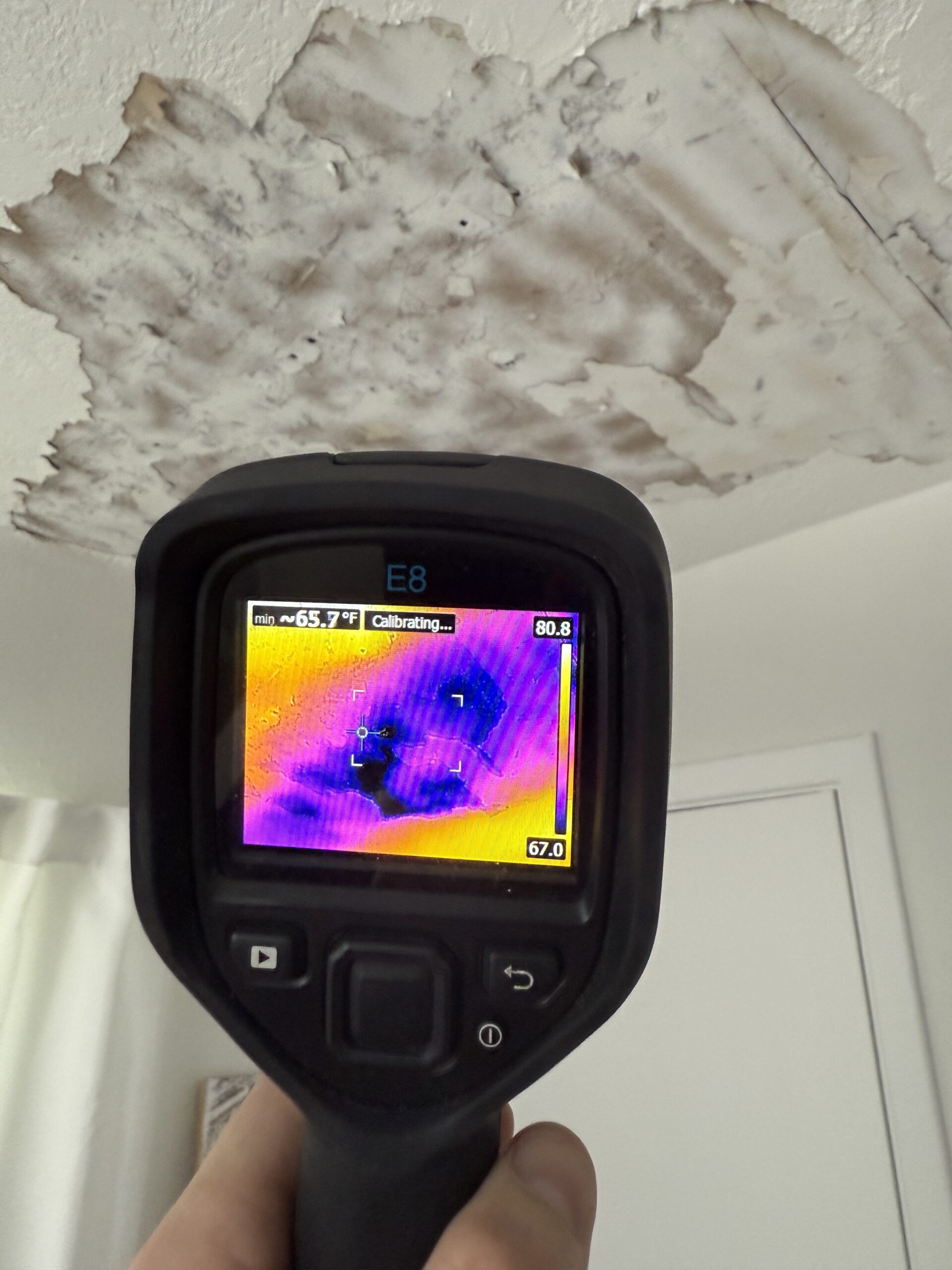 Mold-Remediation-Clearwater-Florida Mold-Remediation-Clearwater-Florida