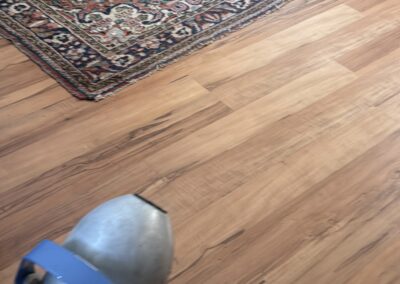 Mold Remediation Brandon Florida