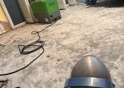 Mold Remediation Brandon Florida