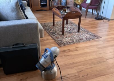 Mold Remediation Brandon Florida