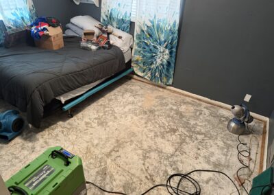 Mold Remediation Brandon Florida