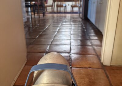 Mold Remediation Brandon Florida