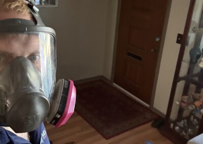 Mold Remediation Brandon Florida