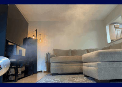 Mold Remediation Brandon Florida